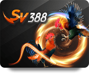เปรียบเทียบบริการ Aw8 ฝากถอน กับเว็บไซต์อื่น ๆ